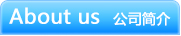 公司簡介